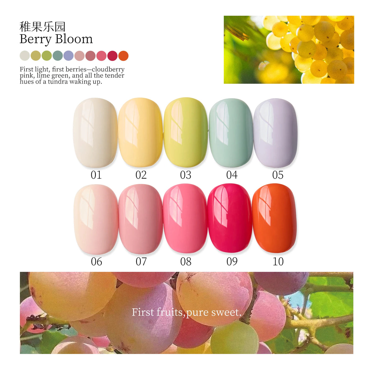 Moding Berry Rambles Potted Color Gel Collection option image