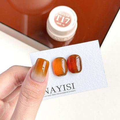NAYISI Texas Paris shade T17 color gel