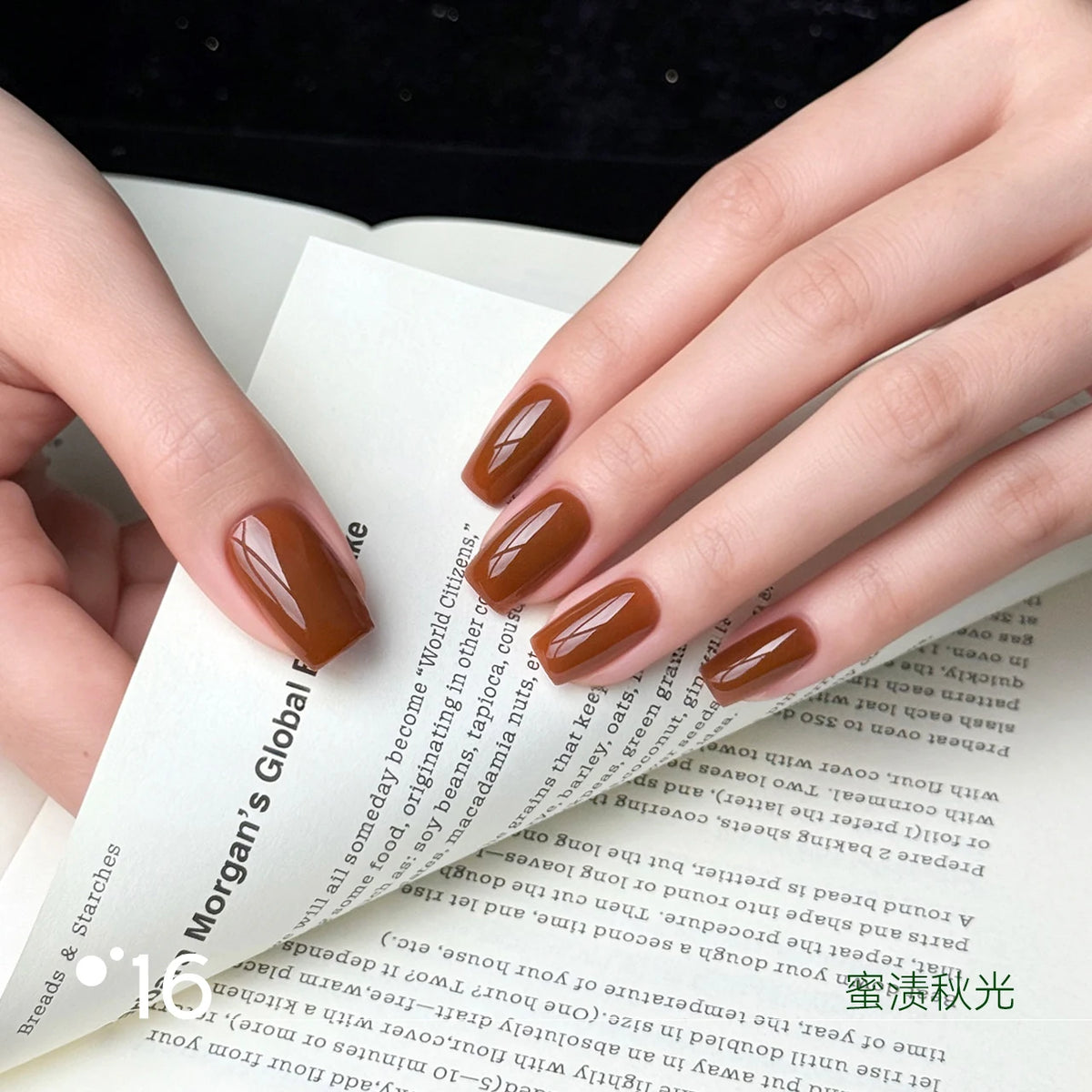 Moding Berry Rambles Potted Color Gel Collection option image