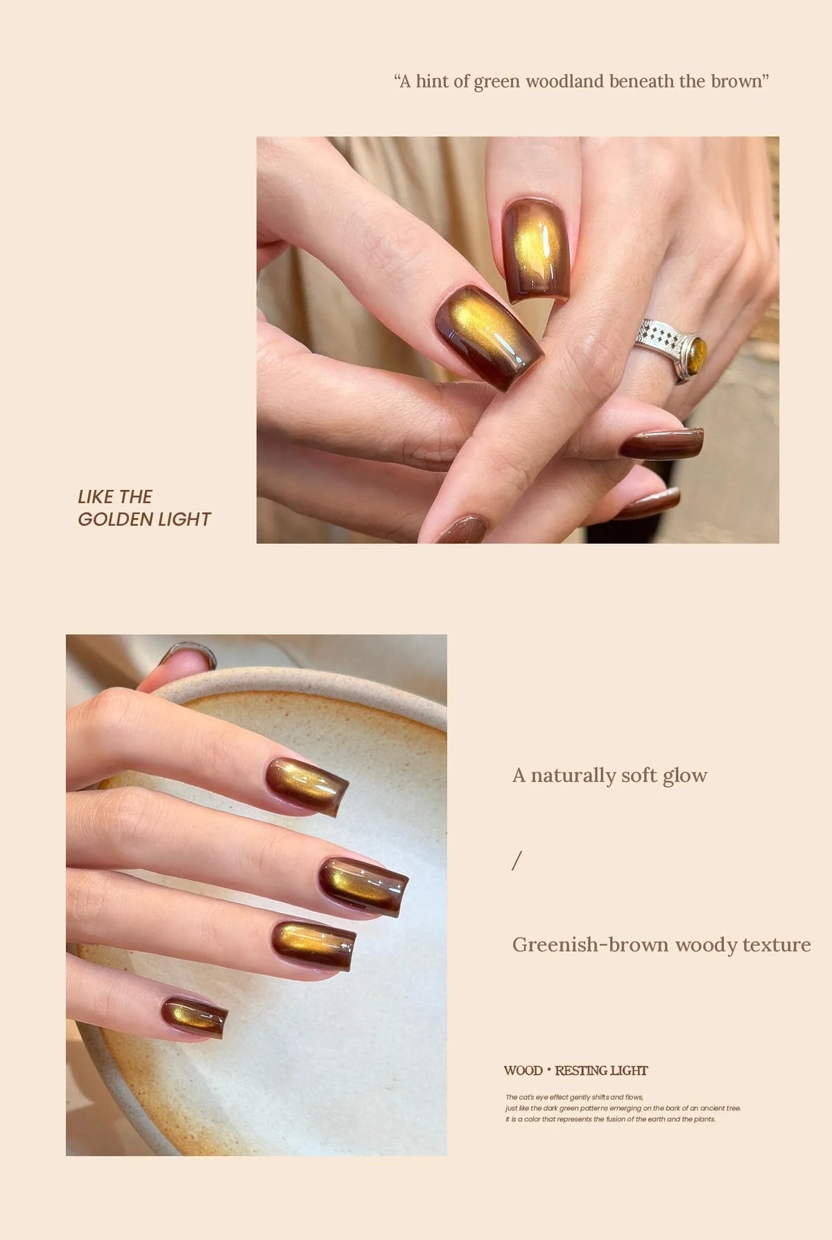 T205 Wood Taupe: a hint of green woodland beneath the brown