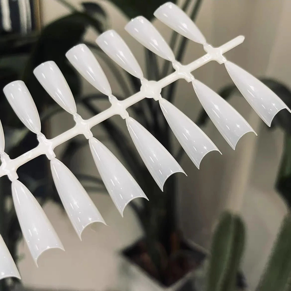 YHH milky crescent French tips on their runner in front of a plant
